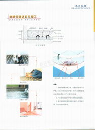 北京龍升盛世科技發展有限公司簡介