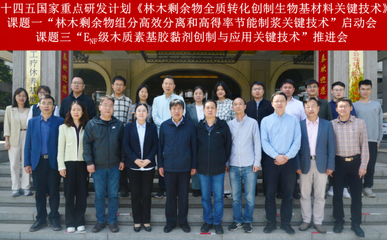 林木剩余物全質轉化創制生物基材料關鍵技術研發項目啟動，助力綠色低碳產業鏈升級