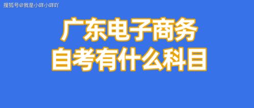 自考電子商務專業 解鎖商務信息咨詢的核心能力